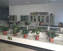 妖精视频免费在线观看展示